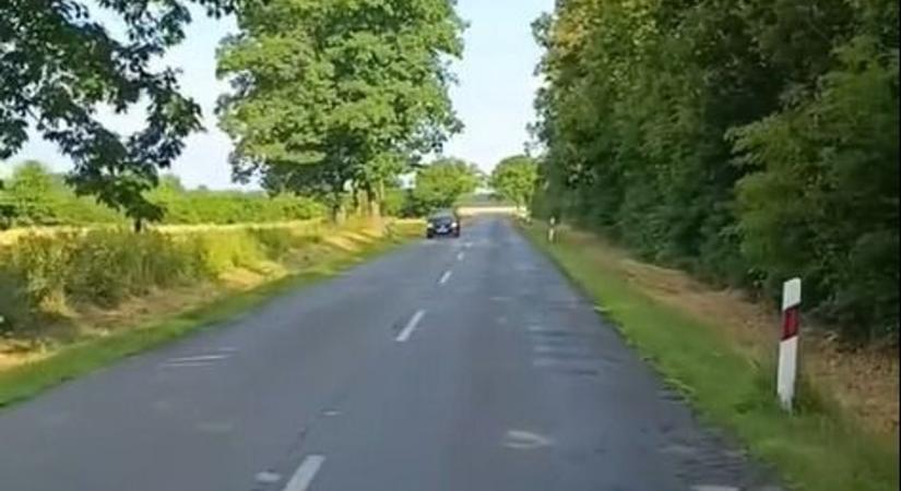 Nem hezitáltak az állatok, hatalmas csorda dübörgött keresztül a vasi autós előtt - videó