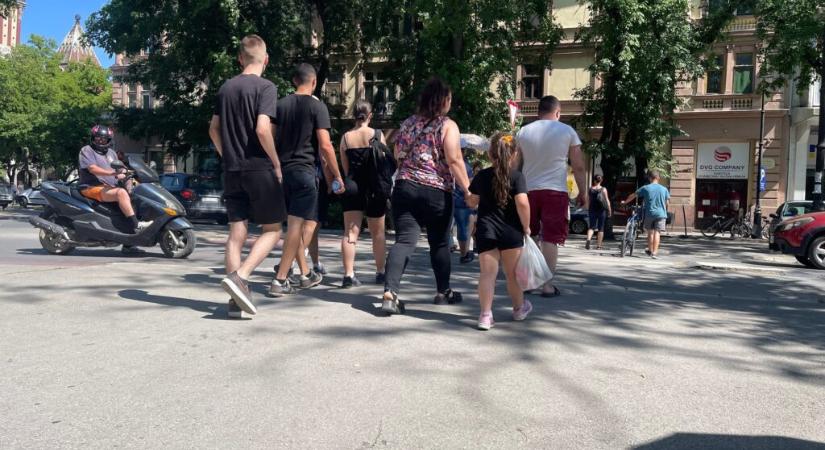 Mi az a diszpergált blokád és miért hatásosabb, mint a tömegtüntetés?