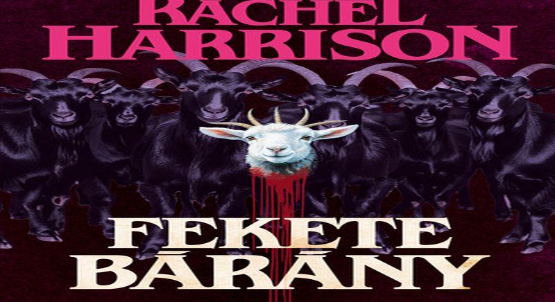 Rachel Harrison: Fekete bárány (2025)