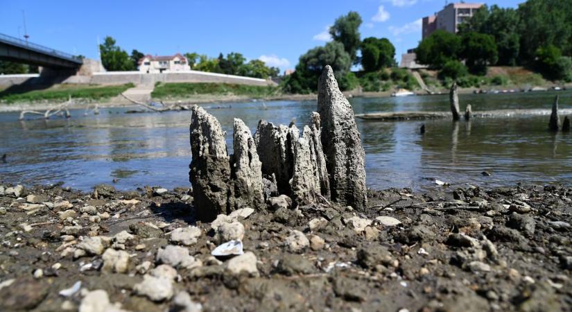 Közel fél évezredes titkok bukkannak fel a Tiszában – galériával, videóval