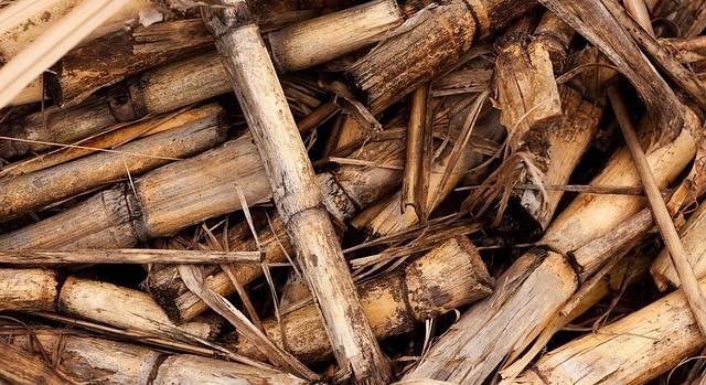 Számottevően nőtt a faipari melléktermékek jelentősége a biomassza-felhasználás terén