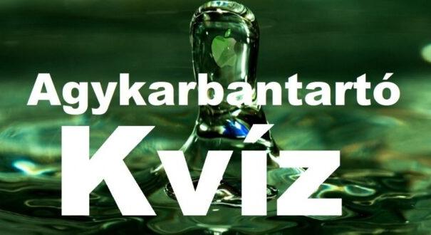 Agykarbantartó kvíz: Ma sem hagyunk újabb fejtörő nélkül (502)