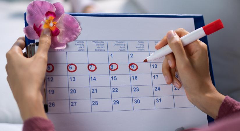 Értsük meg a női menstruációs ciklust! - Így működünk mi, nők