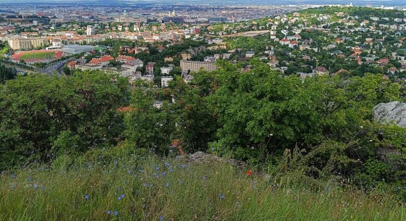 Így teszi tönkre a tömegturizmus a magyar természeti kincseket: fontos dologra hívta fel a figyelmet dr. Kézdy Pál