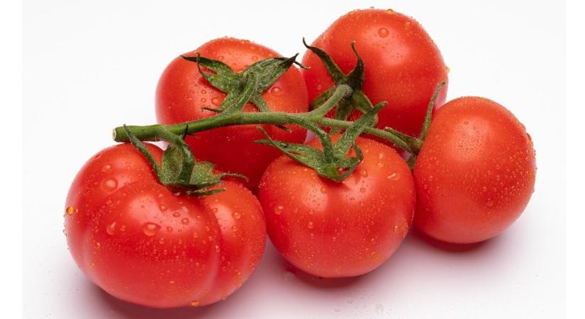 Fürtös paradicsom és kaliforniai paprika akció