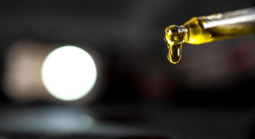 Hogyan használjuk a CBD olajat?