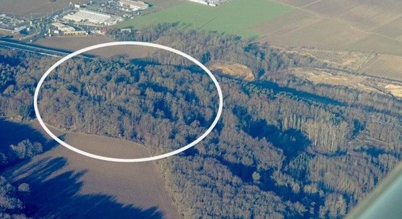 Egy magyar férfi maradványait találták meg Ausztriában, kegyetlenül végeztek vele