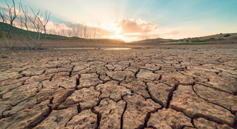 Elképesztő dráma zajlik a Balaton mellett: haldoklik a népszerű tó, szinte teljesen kiszáradt  Fotó