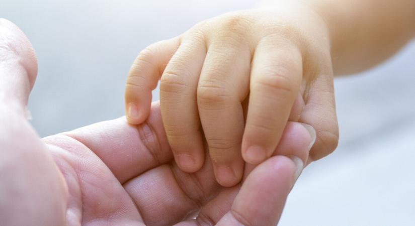Forró főzőlapra ültette kétéves unokaöccsét – vádat emeltek a gondatlan férfi ellen