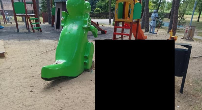 Szemtelenség a sóstói játszótér padján!