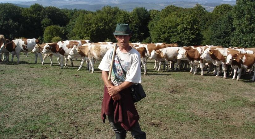 Magyar filmes siker Kassán
