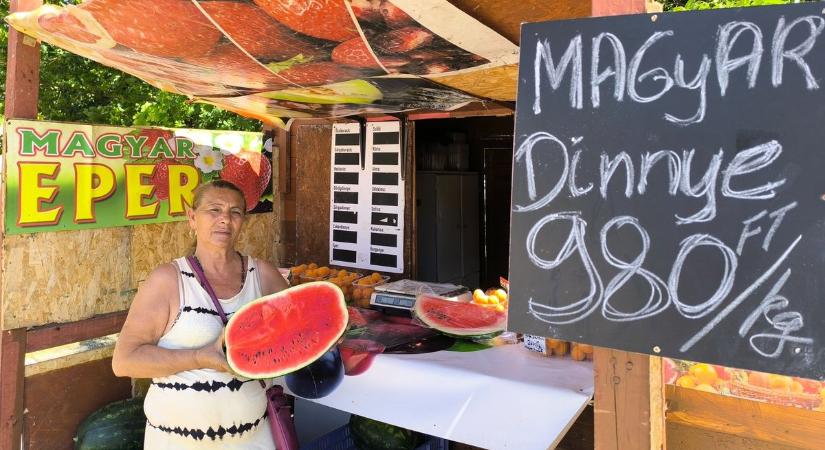 Megérkezett a magyar dinnye – Dinnyés Elviránál már kóstolhatjuk is  videó
