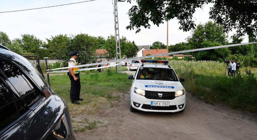 Halálra marta a család kutyája az egyéves Danikát, az anya csak jóval később vette észre, hogy mi történt a gyermekével