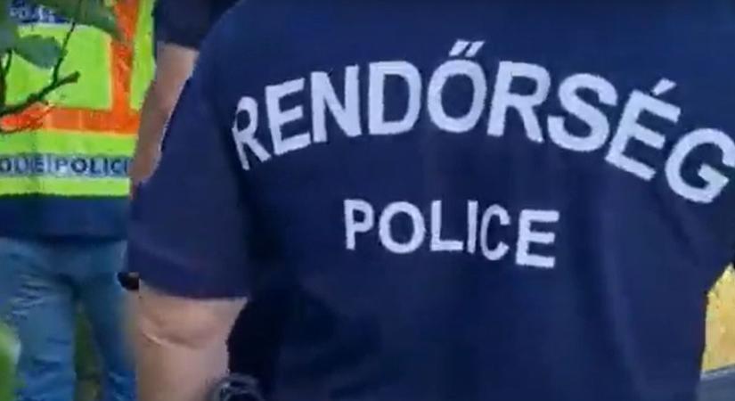 Nem (csak) gyümölcsöt termesztett a kertjében a borsodi férfi, meg is lett az eredménye – videón a rendőrségi akció