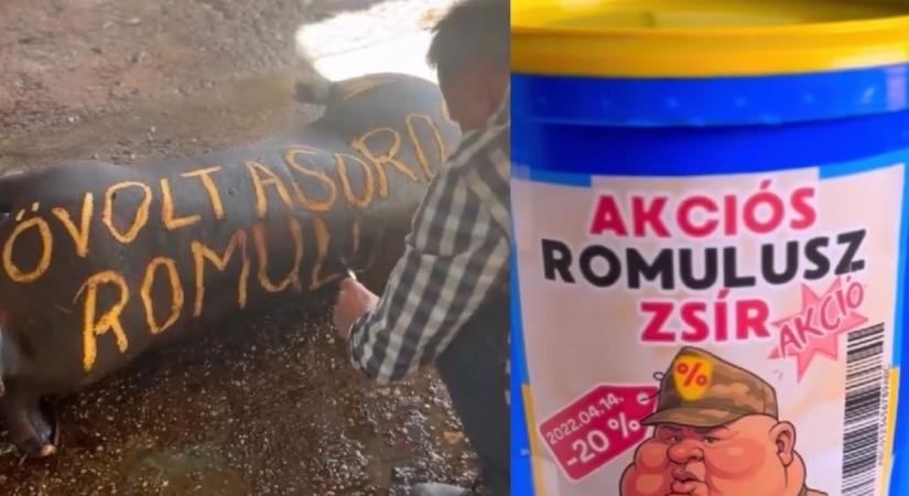 Szaftos történet, akciós zsír, visszaélés – reagálások a zsírleszívás-botrányra