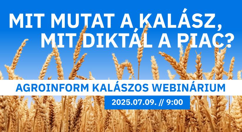 Mit mutat a kalász? Mit diktál a piac? – Agroinform webinárium