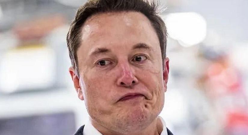 Visszaküldheti Afrikába Elon Musk-ot Donald Trump, lefoglalhatják cégeit
