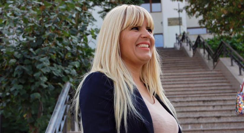Elena Udrea a kórházban tudta meg a bíróság döntését