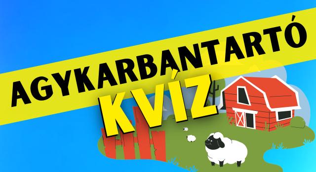 Napi agykarbantartó: Fejleszd az elméd!