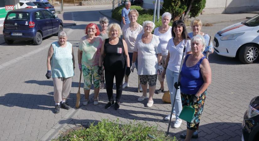 Közösen a tisztább környezetért: összefogással szépül a Pozsonyi út környéke (Videó)