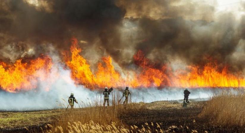 Tizennégy hektáron égett a gabona, még dolgoznak a tűzoltók