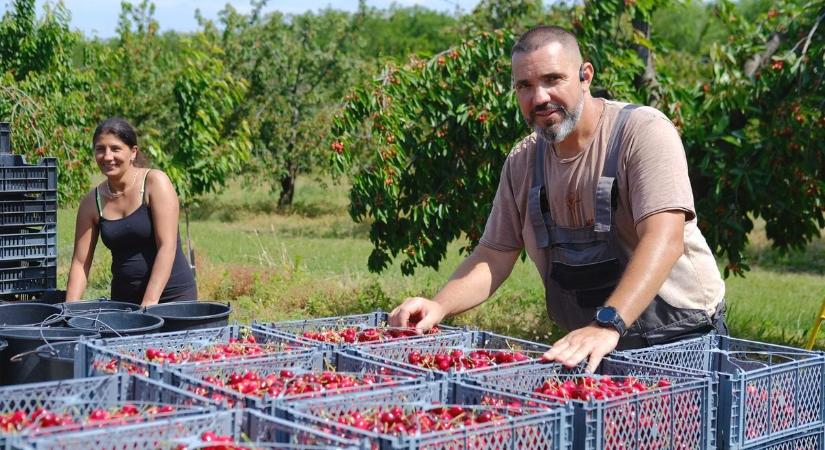 Július 1. sok változást hozott - Mit szólnak az érintettek a törvénymódosításhoz?