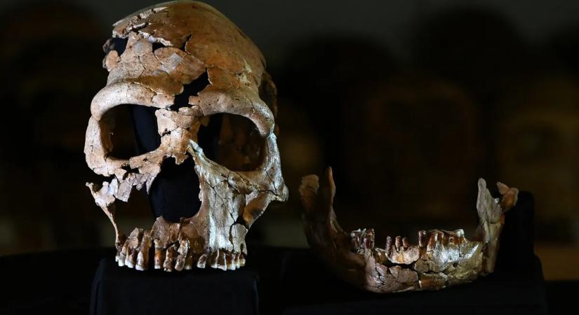 Miért haltak ki a neandervölgyiek? Merész elmélettel állt elő egy tudós