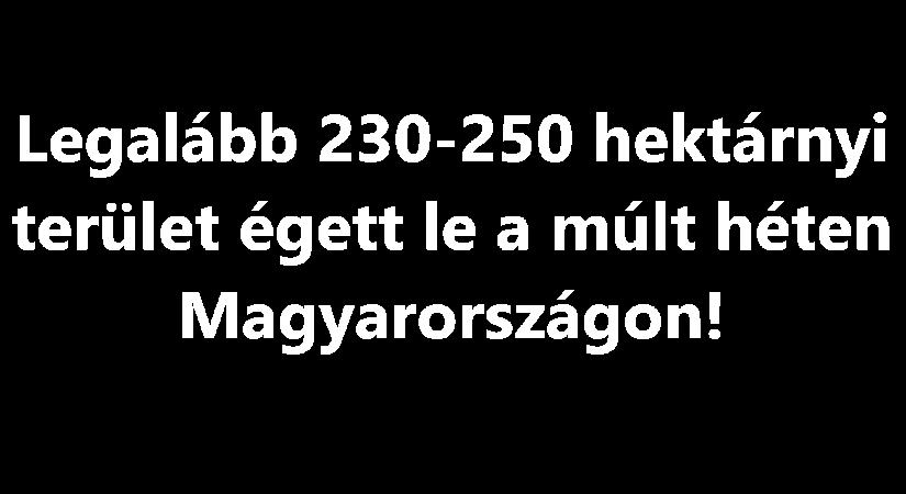 Legalább 230-250 hektárnyi terület lett a tűz martaléka a múlt héten Magyarországon!