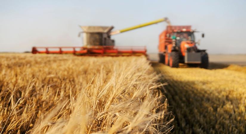 Jelentős áremelkedés a gabona- és olajnövény-piacon