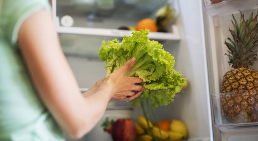 Megfonnyad a saláta? Így tárold, hogy 10 napig friss maradjon!