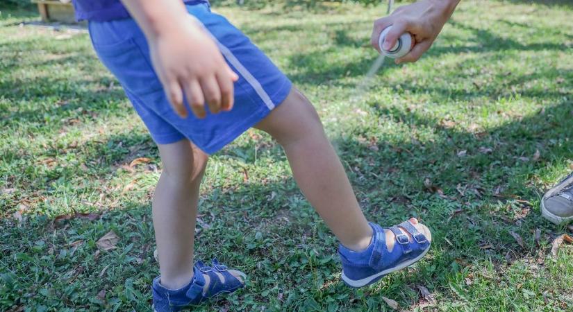 Zümmögnek, csípnek, de még nem irtják – miért maradt ki Vas a központi szúnyoggyérítésből?