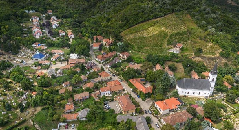 Szívogatva fertőznek a cuki nevű betolakodók – ha egyszer beköltöznek, készülj a legrosszabbra