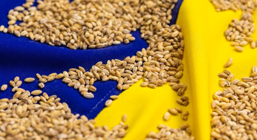 Csalódtak a lengyelek: nem ezt várták az EU és Ukrajna közötti megállapodástól