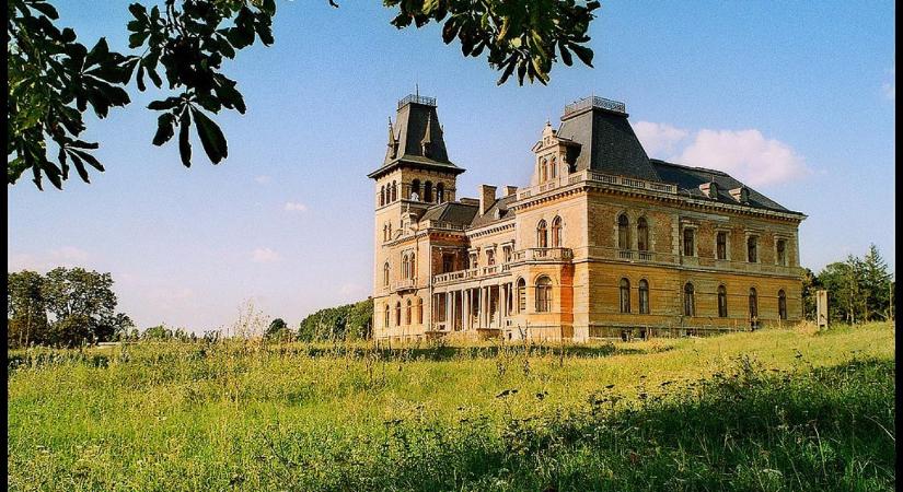 Illegálisan kitermelt fákból, Natura 2000-es területen kezdtek építkezni egy Matolcsy Ádám-köréhez tartozó birtokon