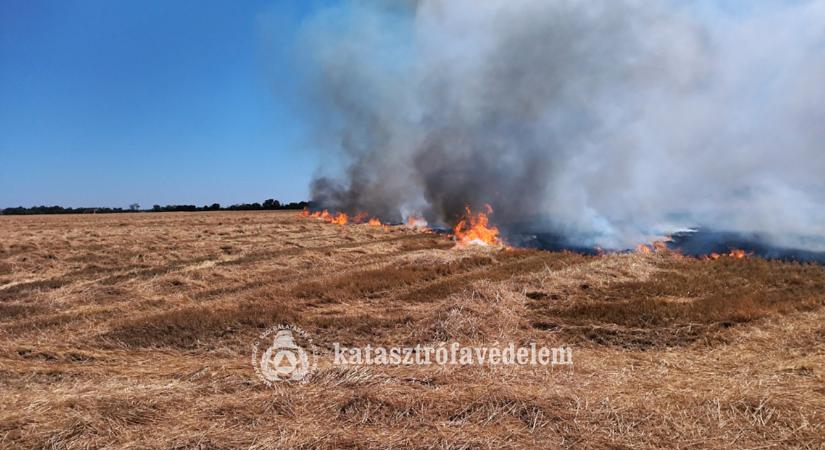 Lángok pusztítottak Kétegyházán és Szarvas határában