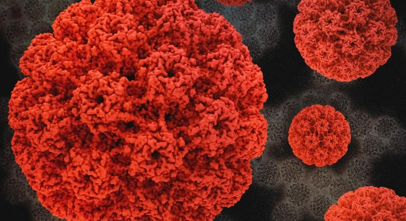 Méhnyaki HPV-fertőzés: a szájüregi szűrés is fontos lehet