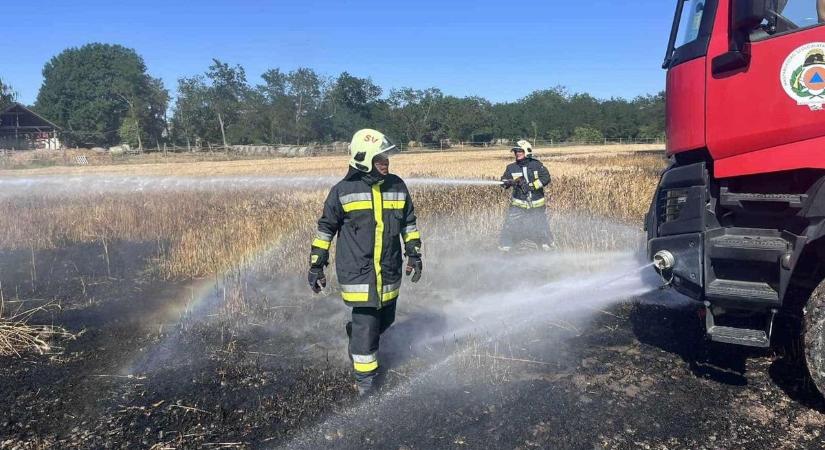 Lábon álló gabona égett Jákfánál - fotók