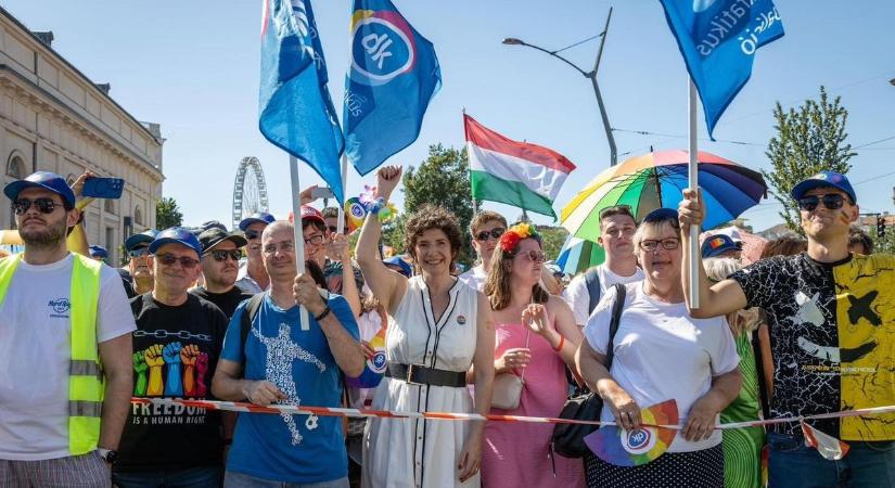 A műmájereskedő Dobrev megpróbálja leplezni a DK katasztrofális válságát