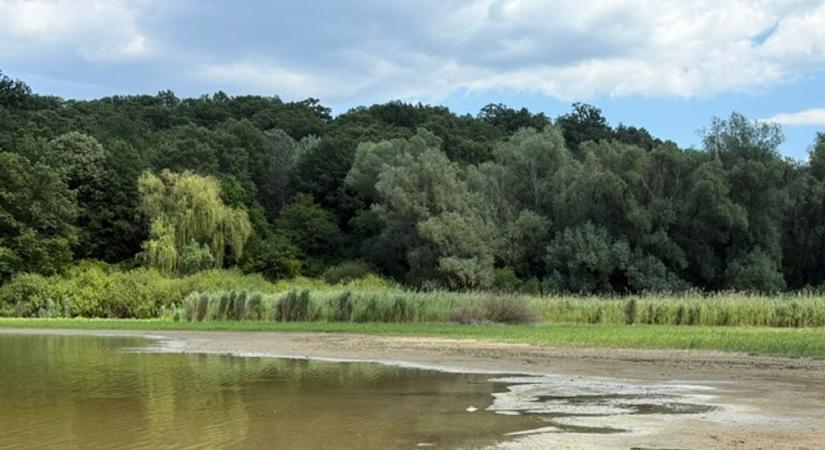 Borzasztó a hőség: rohamos ütemben apadnak a tavak, óriási bajban a horgászok