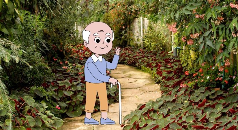 Teszteld a logikád, és juttasd haza a fájós lábú bácsit!