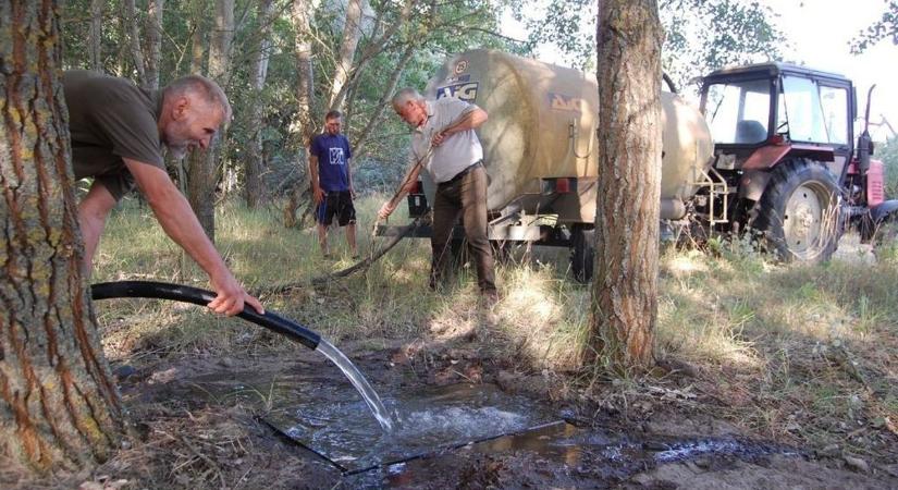 Egy tál víz a túlélésért: így segíthetünk a vadon élő állatoknak