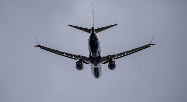 Kígyót találtak egy repülőgép fedélzetén: hihetetlen okból kerülhetett oda