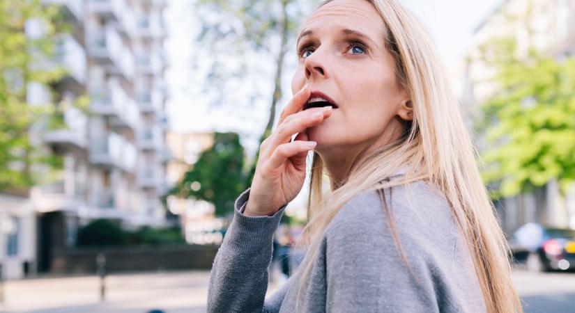 Sarkvidéki állat tűnt el a belvárosban a legnagyobb melegben!