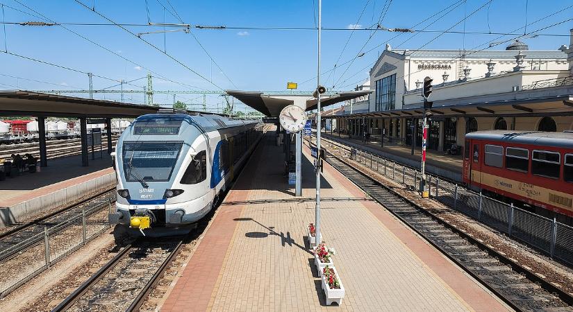 Magyar Péter beismerő vallomást tett