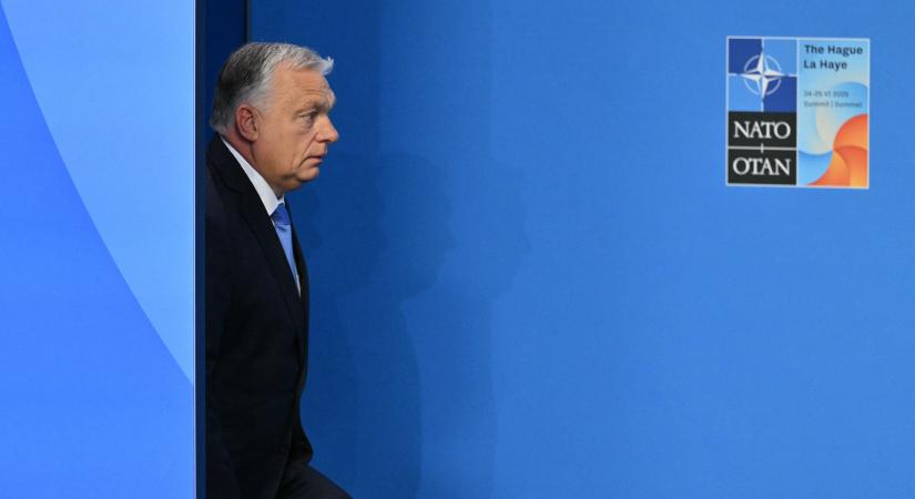Sebzett állathoz hasonlítják Orbán Viktort a nemzetközi médiában
