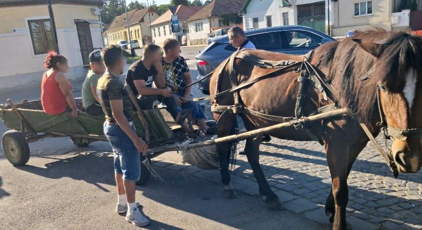 Szekérstop Sepsiszentgyörgyön: járműveket és lovakat foglaltak le