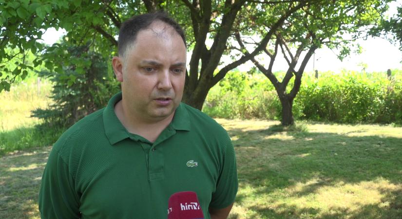 Idén a szokásos kajszibarack-termésnek mindössze a 20 százaléka várható az áprilisi fagyok miatt  videó