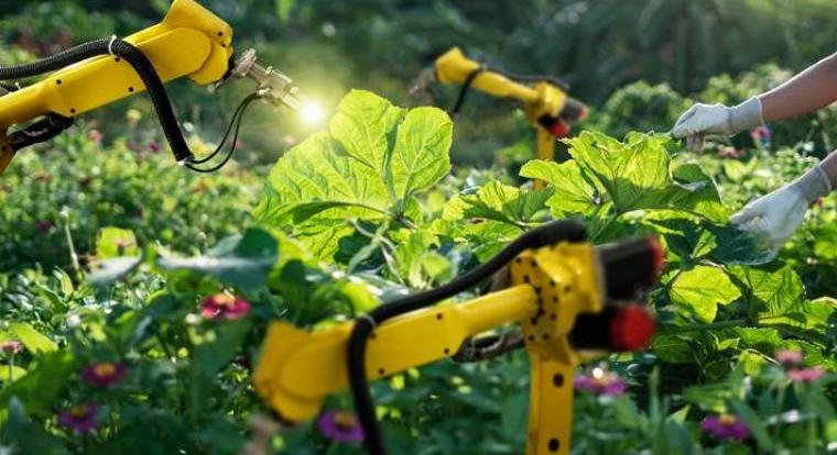 Újraindul a NAK TechLab nagyvállalati-startup program