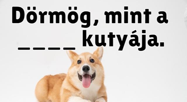 Napi közmondás feladat: Ki tudod egészíteni?