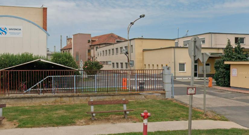 A Balaton szelet és a Negro sorsára jut a Medve és Karaván sajt